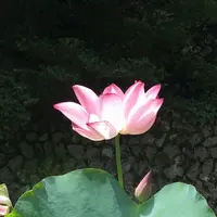 槙尾山施福寺の写真・動画_image_151068