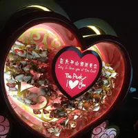ヴィクトリア・ピーク（Victoria peak）の写真・動画_image_151216