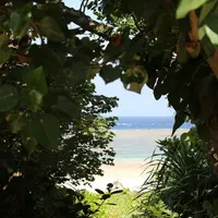 米原ビーチの写真・動画_image_151405