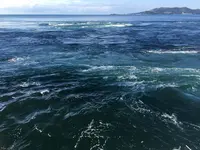 小型水中観潮船 アクアエディの写真・動画_image_151511