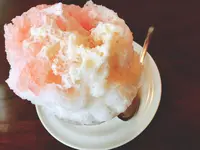 レモンの木の写真・動画_image_151757