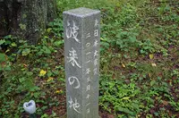 上山八幡宮の写真・動画_image_151806