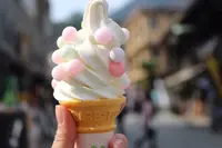 金刀比羅宮（こんぴらさん）の写真・動画_image_151858
