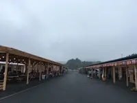 南三陸さんさん商店街の写真・動画_image_152075