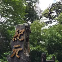 紀元杉の写真・動画_image_152102