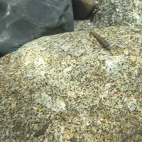 川辺の写真・動画_image_152105