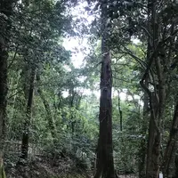 八重垣神社の写真・動画_image_152279