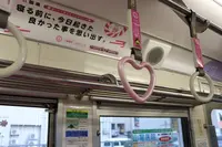 宍道湖の写真・動画_image_152283