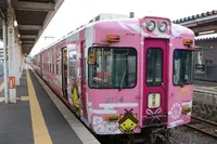 宍道湖の写真・動画_image_152284