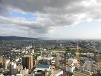 東大阪市役所の写真・動画_image_152384
