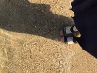 エンジェルロードの写真・動画_image_152487