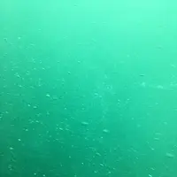 鳴門渦潮の写真・動画_image_152525