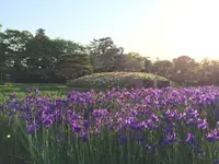 岡山後楽園の写真・動画_image_152638