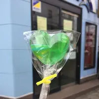 廻転寿司 海鮮の写真・動画_image_152651