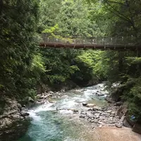阿寺渓谷の写真・動画_image_152757