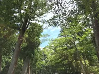 伊勢神宮外宮（豊受大神宮）の写真・動画_image_152858