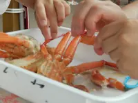 道の駅マリンドリーム能生の写真・動画_image_152899