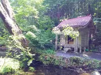 竜ヶ窪の池の写真・動画_image_152951