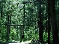 竜ヶ窪の池の写真・動画_image_152954