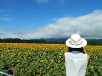 津南ひまわり広場の写真・動画_image_152955