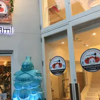 ガーデンサンドカフェの写真・動画_image_153112
