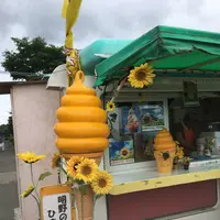 明野サンフラワーフェスティバル浅尾新田会場の写真・動画_image_153160