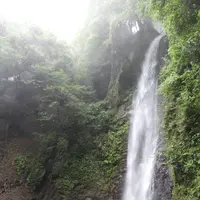 養老の滝の写真・動画_image_153168