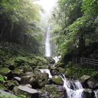 養老の滝の写真・動画_image_153169