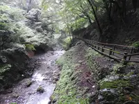 養老の滝の写真・動画_image_153173