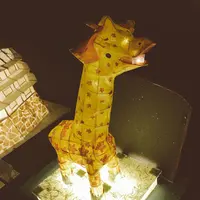 美濃和紙あかりアート館の写真・動画_image_153219