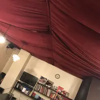 ＴｉＳＳＵＥの写真・動画_image_153409