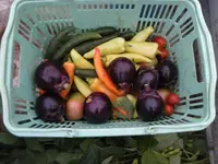 農家民宿 新助の写真・動画_image_153537