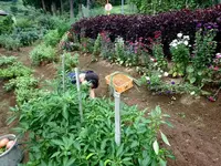 農家民宿 新助の写真・動画_image_153544
