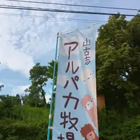 山古志アルパカ牧場の写真・動画_image_153552