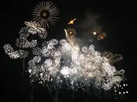 おぢやまつり花火大会の写真・動画_image_153555