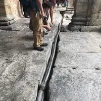 ローマン・バースの写真・動画_image_153688