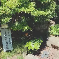旧今井家住宅・美濃史料館の写真・動画_image_153809