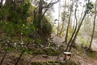 女夫岩遺跡の写真・動画_image_153821