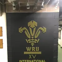 ミレニアム・スタジアムの写真・動画_image_153920