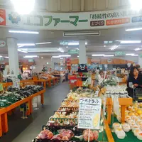 道の駅 七城メロンドームの写真・動画_image_154147