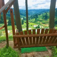 にこにこひろばの写真・動画_image_154297
