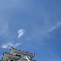 郡上八幡城の写真・動画_image_154329