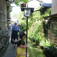 川に挟まれた水の町「郡上」の写真・動画_image_154342
