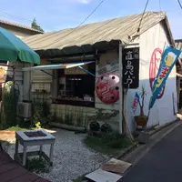 マイマイ （maimai）の写真・動画_image_154377