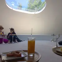 豊島美術館の写真・動画_image_154382