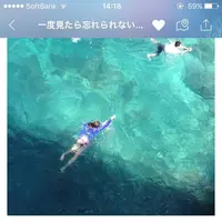 イムギャーマリンガーデンの写真・動画_image_154396