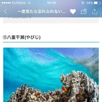 八重干瀬の写真・動画_image_154398