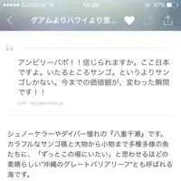 八重干瀬の写真・動画_image_154401