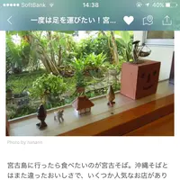 古謝そば屋の写真・動画_image_154411