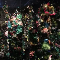 ポーラ ミュージアム アネックスの写真・動画_image_154475
